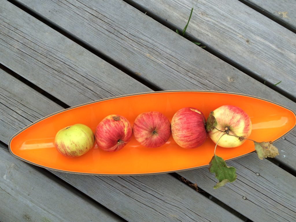 frukt